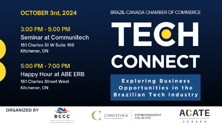 TechConnect: Exploring Business Opportunities in the Brazilian Tech Industry