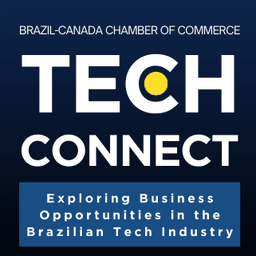 TechConnect: Exploring Business Opportunities in the Brazilian Tech Industry